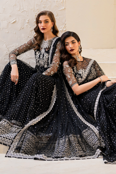 Iznik | Chinnon Chiffon | CC-50 Embroidered Net -  Iznik Formal - Original Designer Dress - House of Maryam