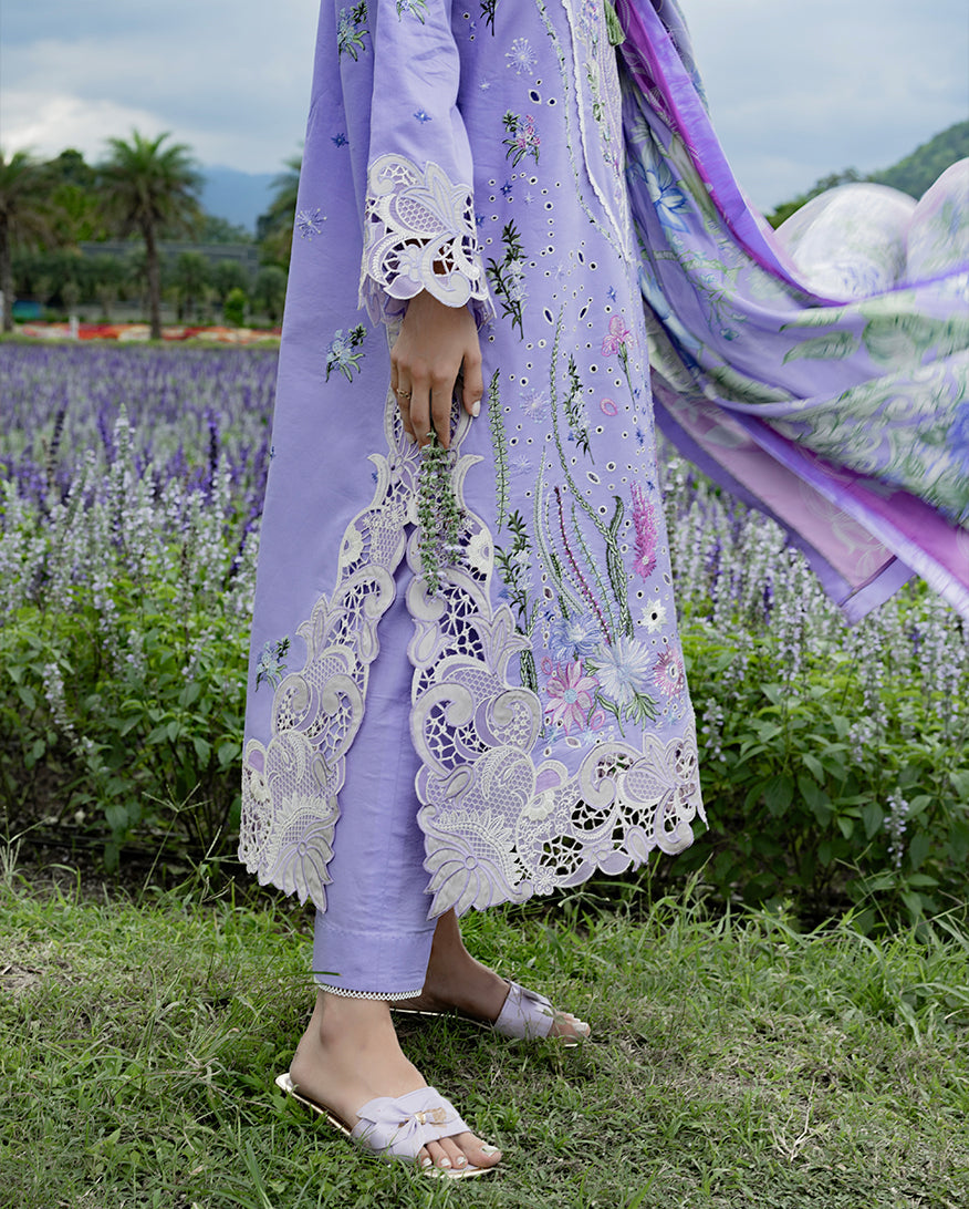 Mushq | The Secret Garden Lawn | Daisy Reverie, image 3