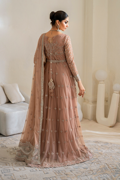 Iznik | Chinnon Chiffon | CC-43 Embroidered Net -  Iznik Formal - Original Designer Dress - House of Maryam
