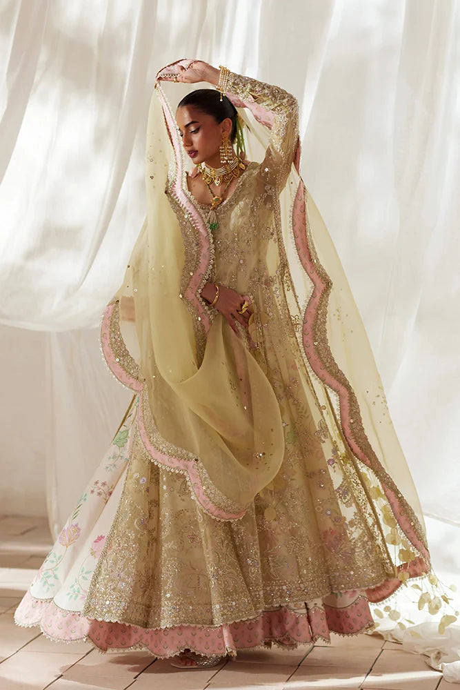 Suffuse Silvia pastel yellow organza pishwas and culottes, photo 3
