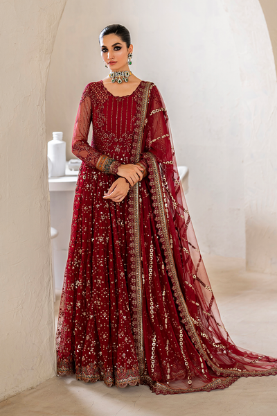 Iznik | Chinnon Chiffon | CC-49 Embroidered Net -  Iznik Formal - Original Designer Dress - House of Maryam