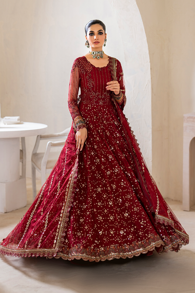 Iznik | Chinnon Chiffon | CC-49 Embroidered Net -  Iznik Formal - Original Designer Dress - House of Maryam