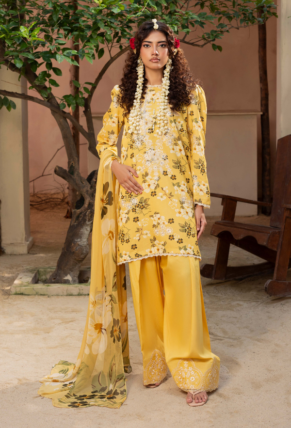Humdum | Zaiba 25 | D03-4