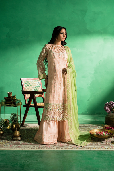 Zebtan | Farmaish Formals | FC-08 -  Zebtan Ladies Clothes - Original Designer Dress - House of Maryam