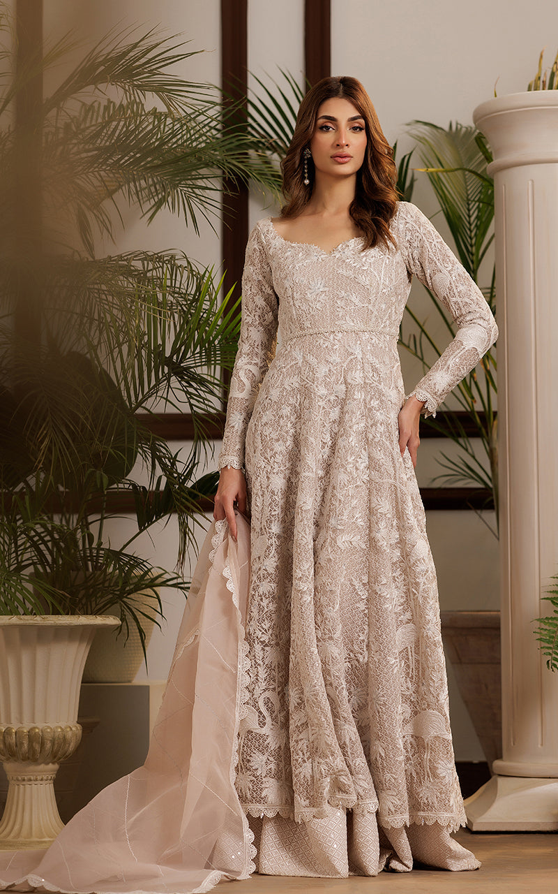 Threads and Motifs | Formal Dresses 25 | Net Embroidered Dress -  Threads and Motifs Ladies Clothes - Original Designer Dress - House of Maryam