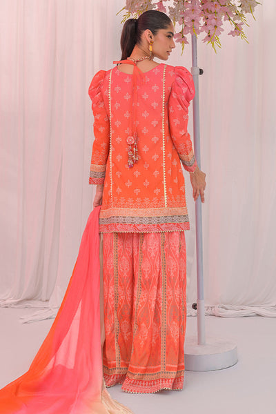 Chic Ophicial | The Maison Duo | Coral Glow