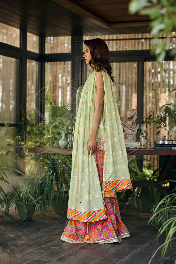Layla Chatoor | Luxury Pret | Aveline, image 4