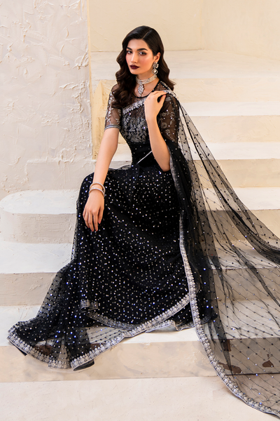 Iznik | Chinnon Chiffon | CC-50 Embroidered Net -  Iznik Formal - Original Designer Dress - House of Maryam