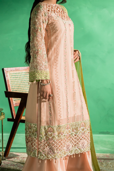Zebtan | Farmaish Formals | FC-08 -  Zebtan Ladies Clothes - Original Designer Dress - House of Maryam