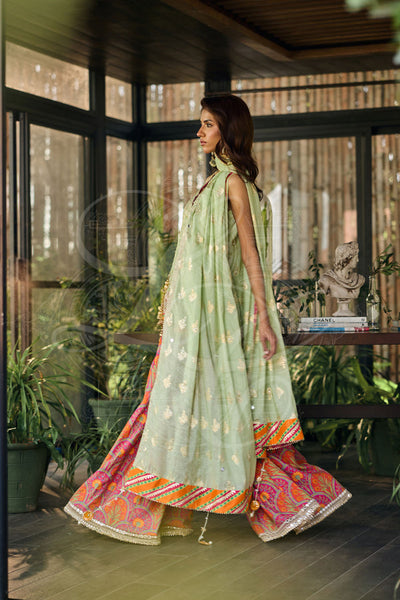 Layla Chatoor | Luxury Pret | Aveline