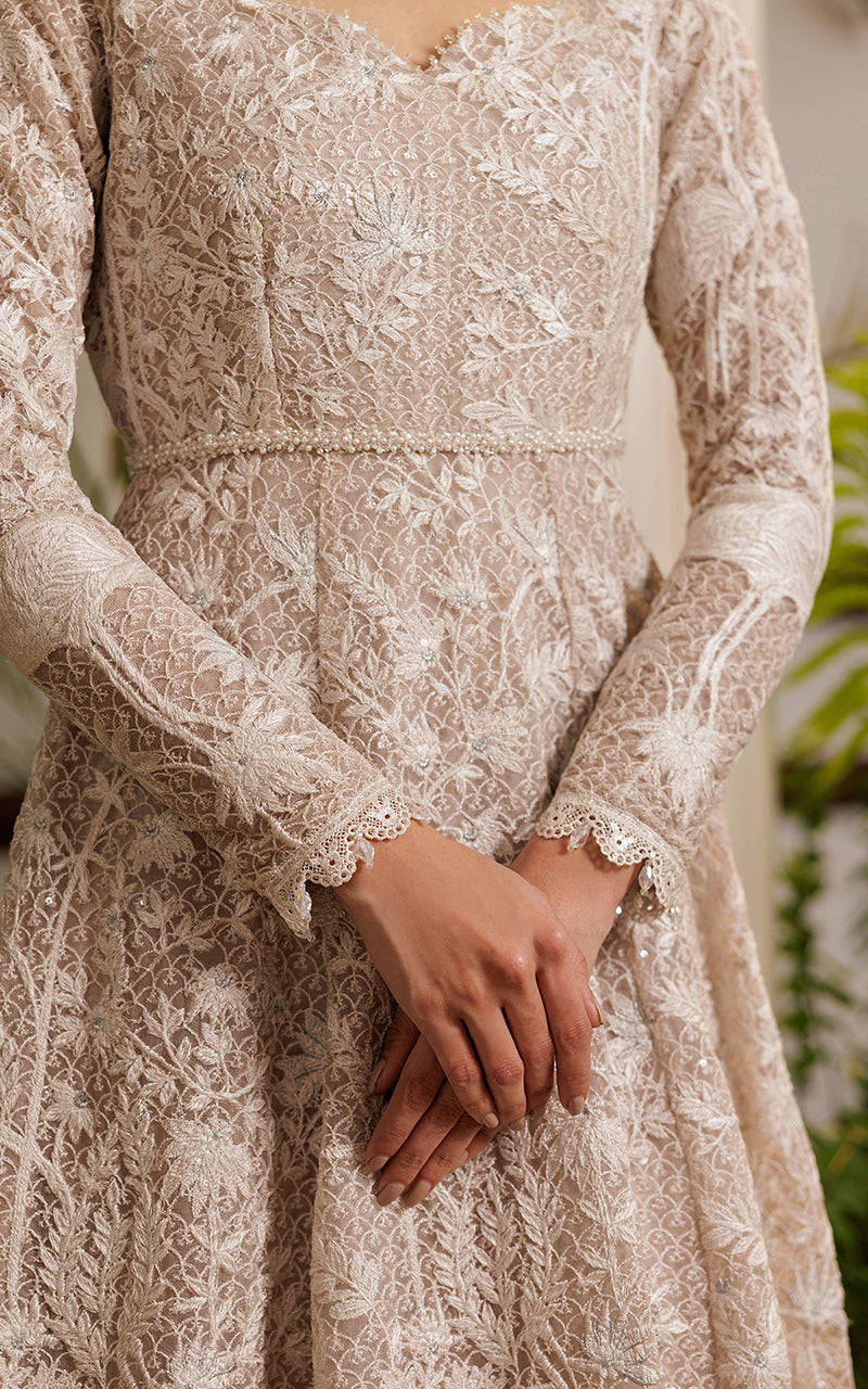 Threads and Motifs | Formal Dresses 25 | Net Embroidered Dress -  Threads and Motifs Ladies Clothes - Original Designer Dress - House of Maryam