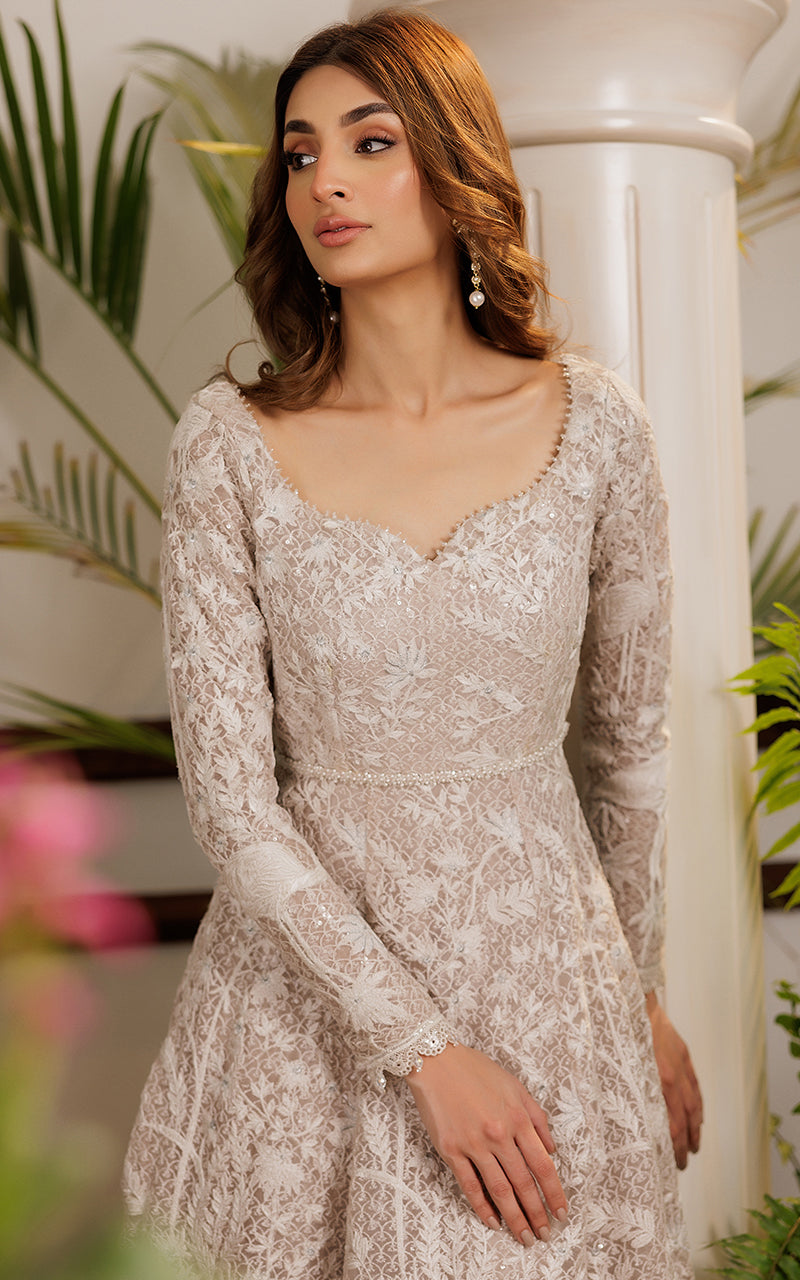 Threads and Motifs | Formal Dresses 25 | Net Embroidered Dress -  Threads and Motifs Ladies Clothes - Original Designer Dress - House of Maryam