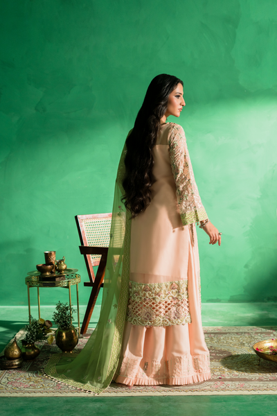 Zebtan | Farmaish Formals | FC-08 -  Zebtan Ladies Clothes - Original Designer Dress - House of Maryam