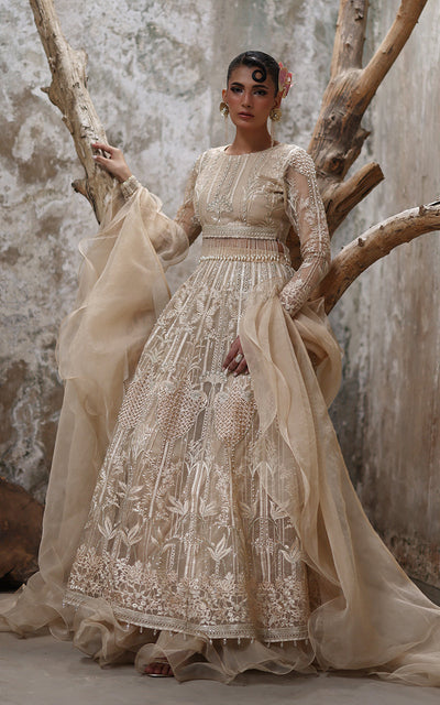 Threads and Motifs | Formal Dresses 25 | Organza Embroidered Blouse And Lehenga -  Threads and Motifs Ladies Clothes - Original Designer Dress - House of Maryam