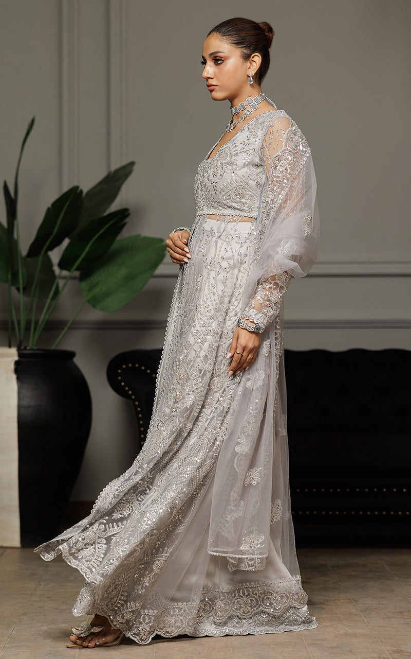 Threads and Motifs | Formal Dresses 25 | Net Embroidered Dress With Skirt And Dupatta -  Threads and Motifs Ladies Clothes - Original Designer Dress - House of Maryam