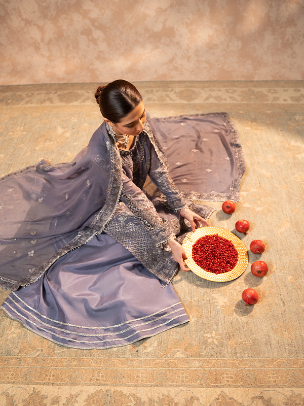 Zebtan | Zeenat Festive Collection | ZN-08 by Zebtan - House of Maryam