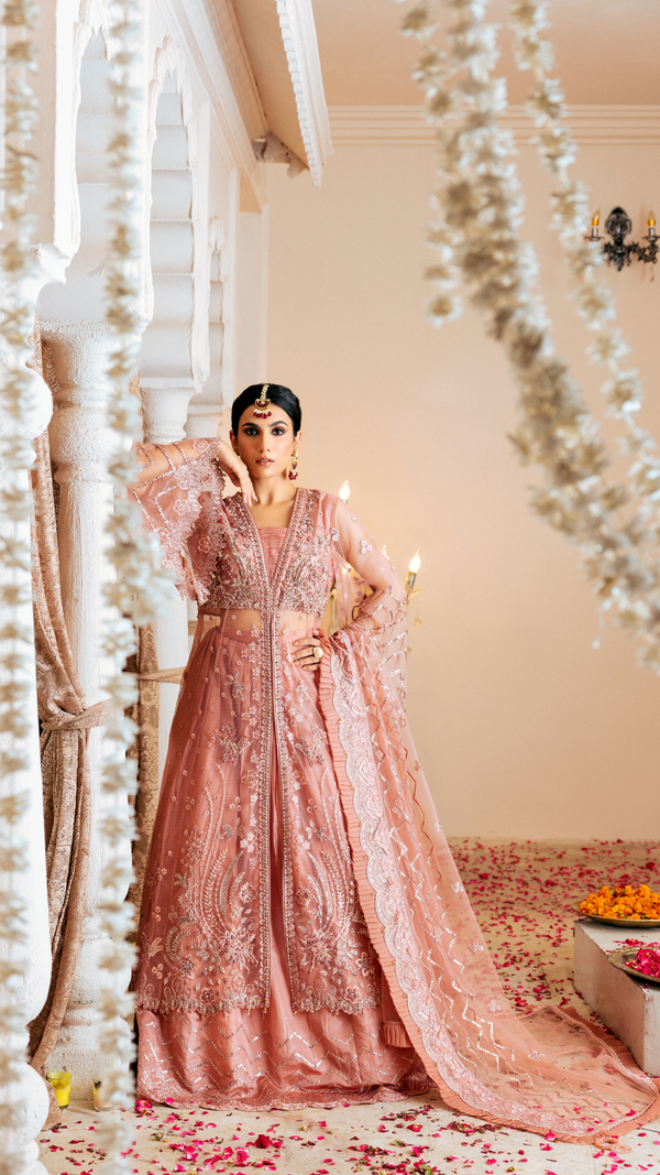 Zebtan | Zircon Wedding Formals | SHABNAM ZQ-07 -  Zebtan Ladies Clothes -  House of Maryam