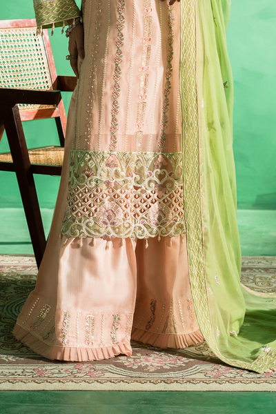 Zebtan | Farmaish Formals | FC-08 -  Zebtan Ladies Clothes - Original Designer Dress - House of Maryam