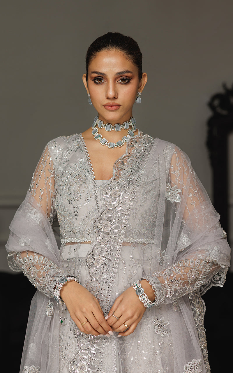 Threads and Motifs | Formal Dresses 25 | Net Embroidered Dress With Skirt And Dupatta -  Threads and Motifs Ladies Clothes - Original Designer Dress - House of Maryam
