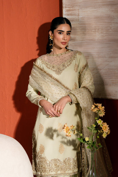 Neeshay | Raw Silk | RTW-RS-04 -  Neeshay Ladies Clothes - Original Designer Dress - House of Maryam
