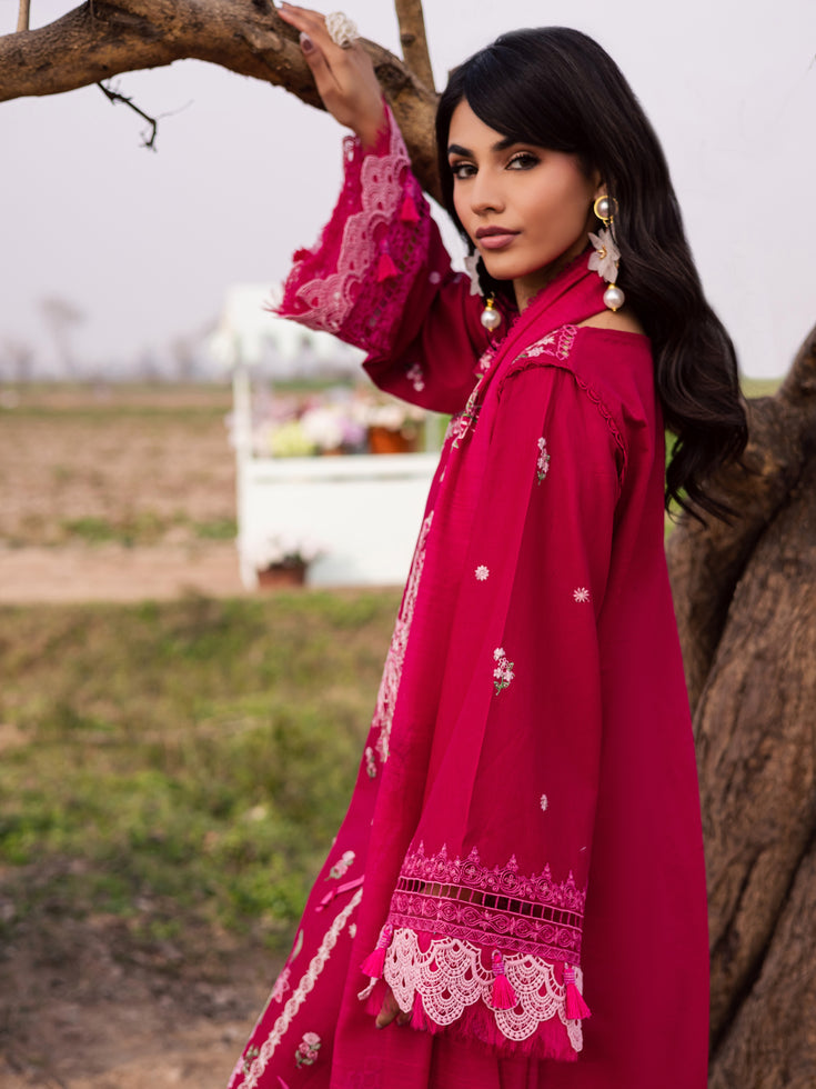Parishay | Dil e Raqsum 26 | DQ-06, image 4