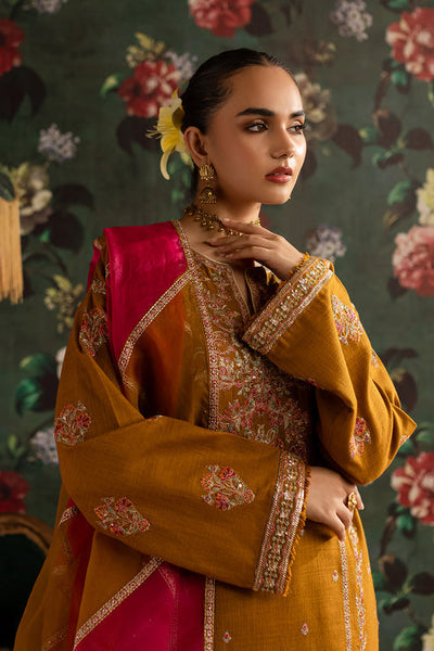 Emaan Adeel | Rangrez Collection | ARZOO -  Emaan Adeel Ladies Clothes - Original Designer Dress - House of Maryam