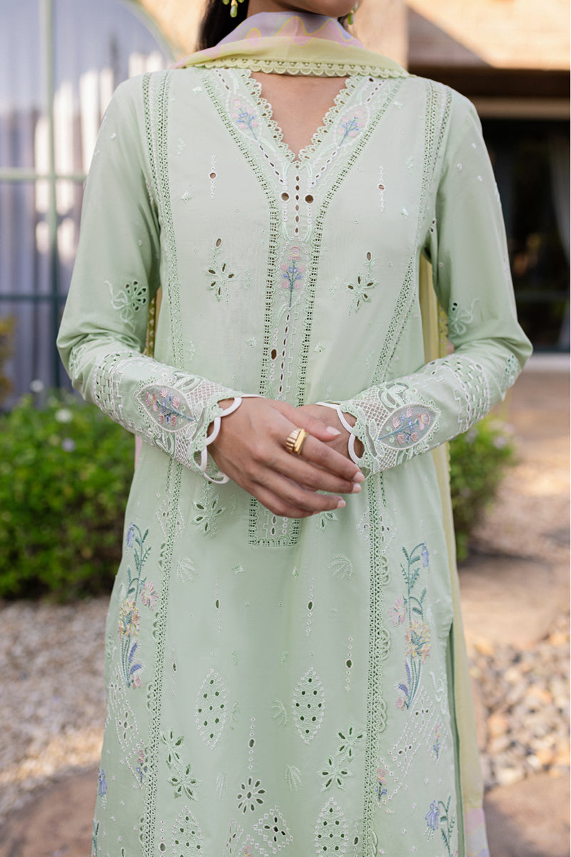 Qalamkar | Q Line Lawn 25 | QM-08 Maia -  Qalamkar Ladies Clothes -  House of Maryam