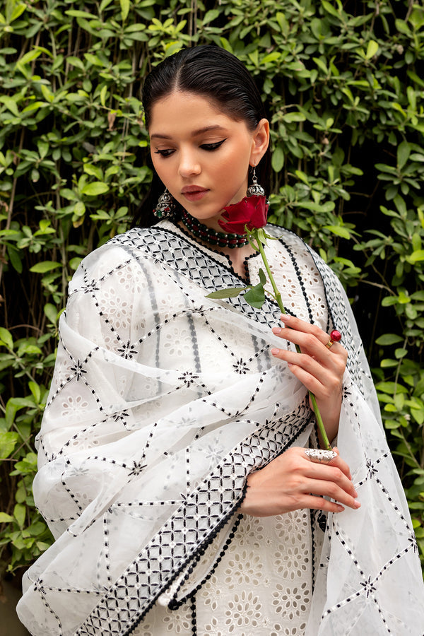 Zarif | Summer Lawn 26 | LINNEA, image 4