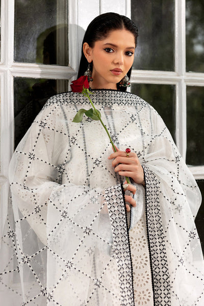 Zarif | Summer Lawn 26 | LINNEA