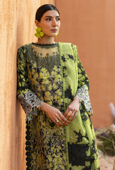 Parishay | Ivy Bloom 26 | IB-04, image 3
