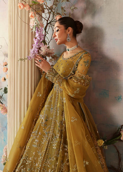 Akbar Aslam Sierra organza formal maxi, photo 4