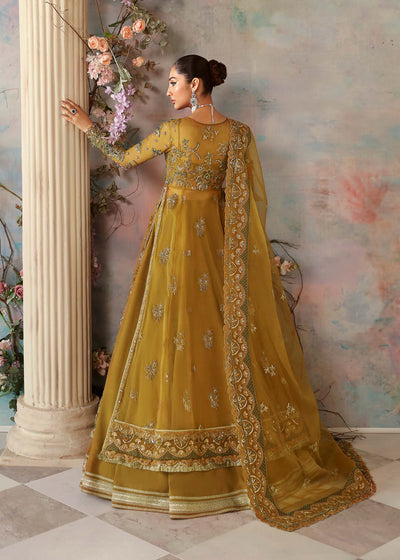 Akbar Aslam Sierra organza formal maxi, photo 3