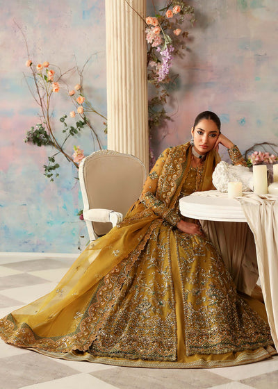 Akbar Aslam Sierra organza formal maxi, photo 5