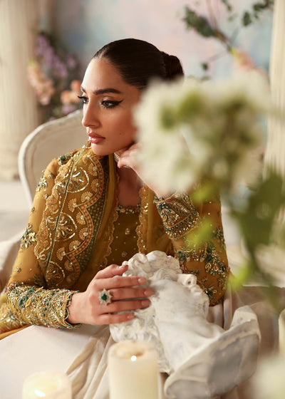 Akbar Aslam Sierra organza formal maxi, photo 6