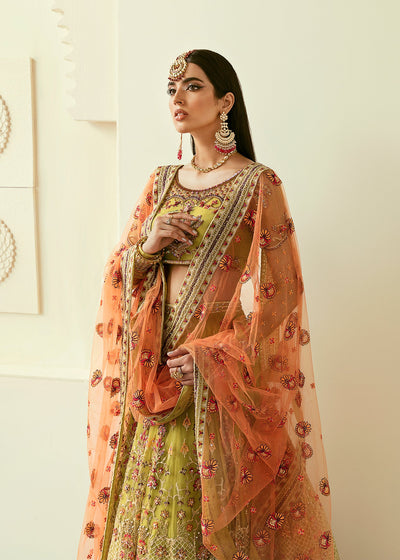 Akbar Aslam Makira net formal maxi, photo 4