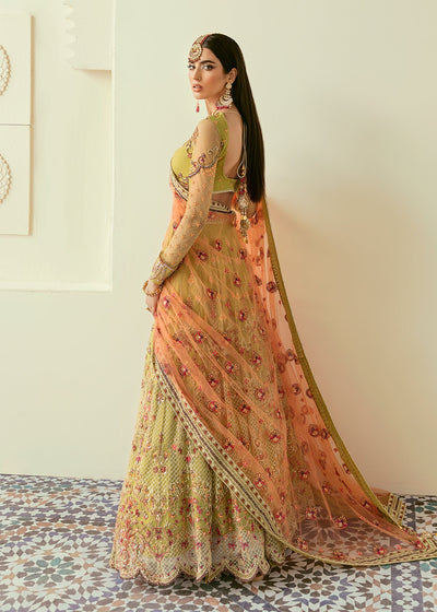 Akbar Aslam Makira net formal maxi, photo 5