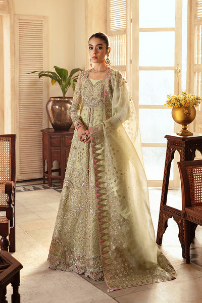 Soraya Sibel veronese green organza gown and sharara