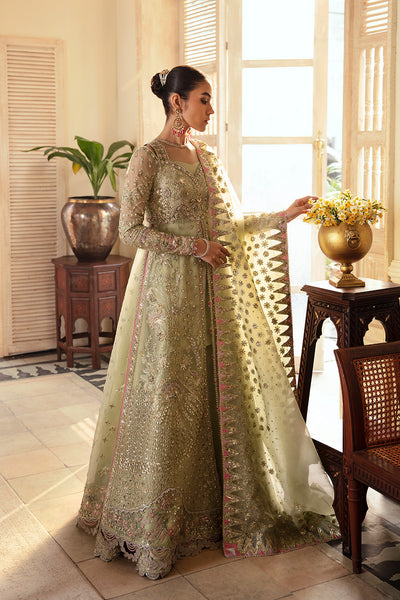 Soraya Sibel veronese green organza gown and sharara, photo 2