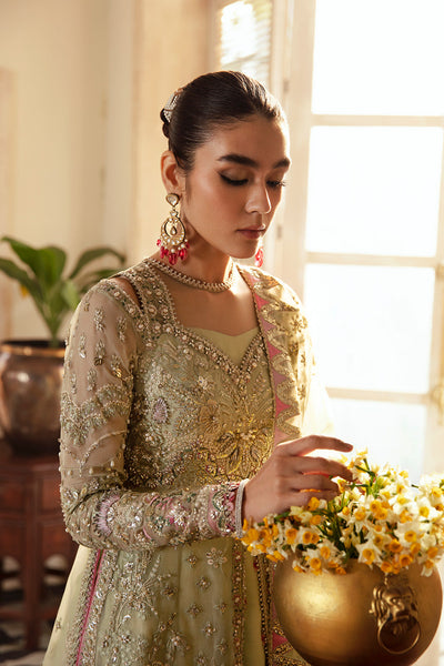 Soraya Sibel veronese green organza gown and sharara, photo 5