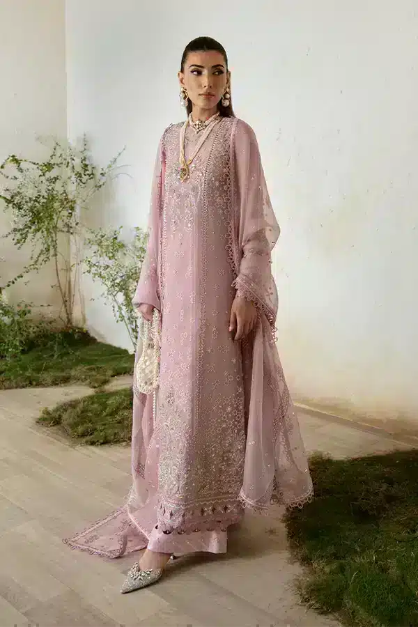 Suffuse Raha organza pishwas suit
