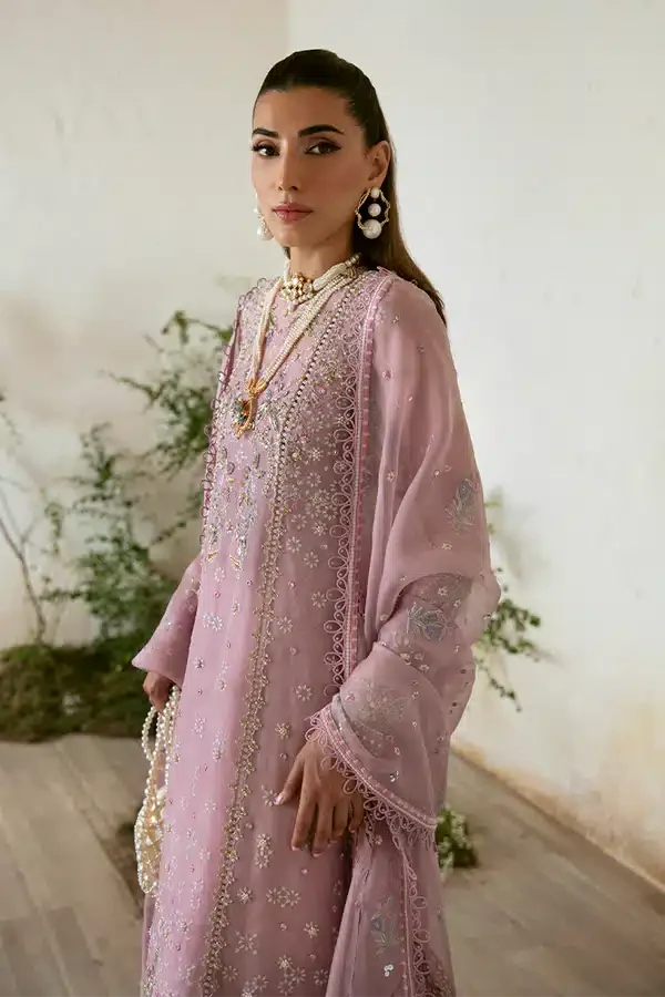Suffuse Raha organza pishwas suit, photo 2