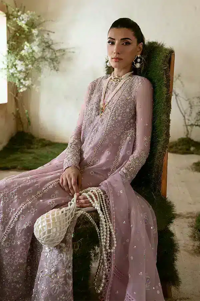 Suffuse Raha organza pishwas suit, photo 4