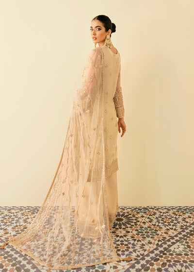 Akbar Aslam Amazona organza formal suit, photo 3