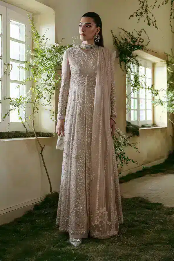 Suffuse Laela organza pishwas, photo 2