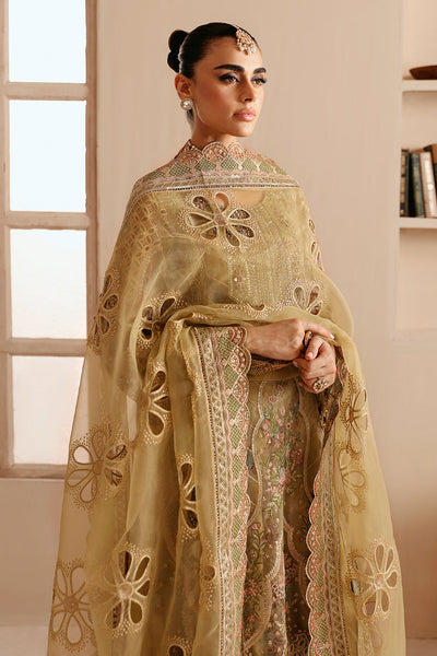 Ramsha | Festive Formals | E-205 -  Ramsha Ladies Clothes - Original Designer Dress - House of Maryam