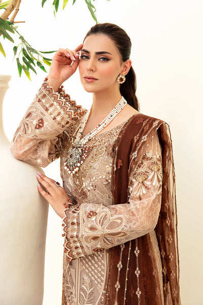 Ramsha | Minhal Organza Collection | M-904 -  Ramsha Formal - Original Designer Dress - House of Maryam
