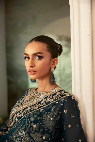Akbar Aslam Beryl organza formal pret, photo 3