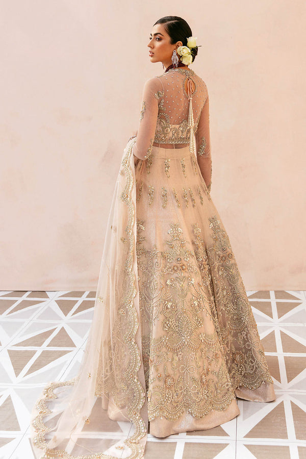 Soraya | Amelia Luxury Formals | Elara -  Soraya Ladies Clothes - Original Designer Dress - House of Maryam