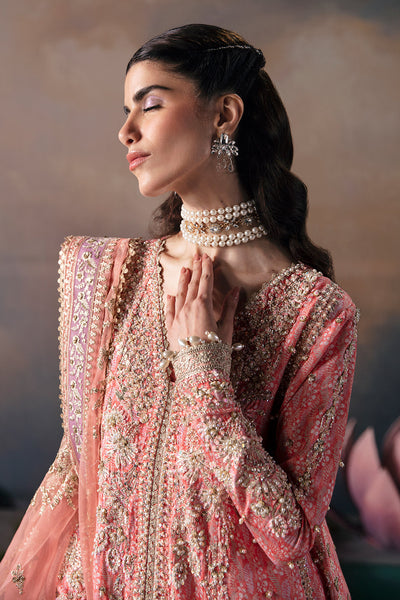 Afrozeh Alana pink long gown and sharara, photo 3