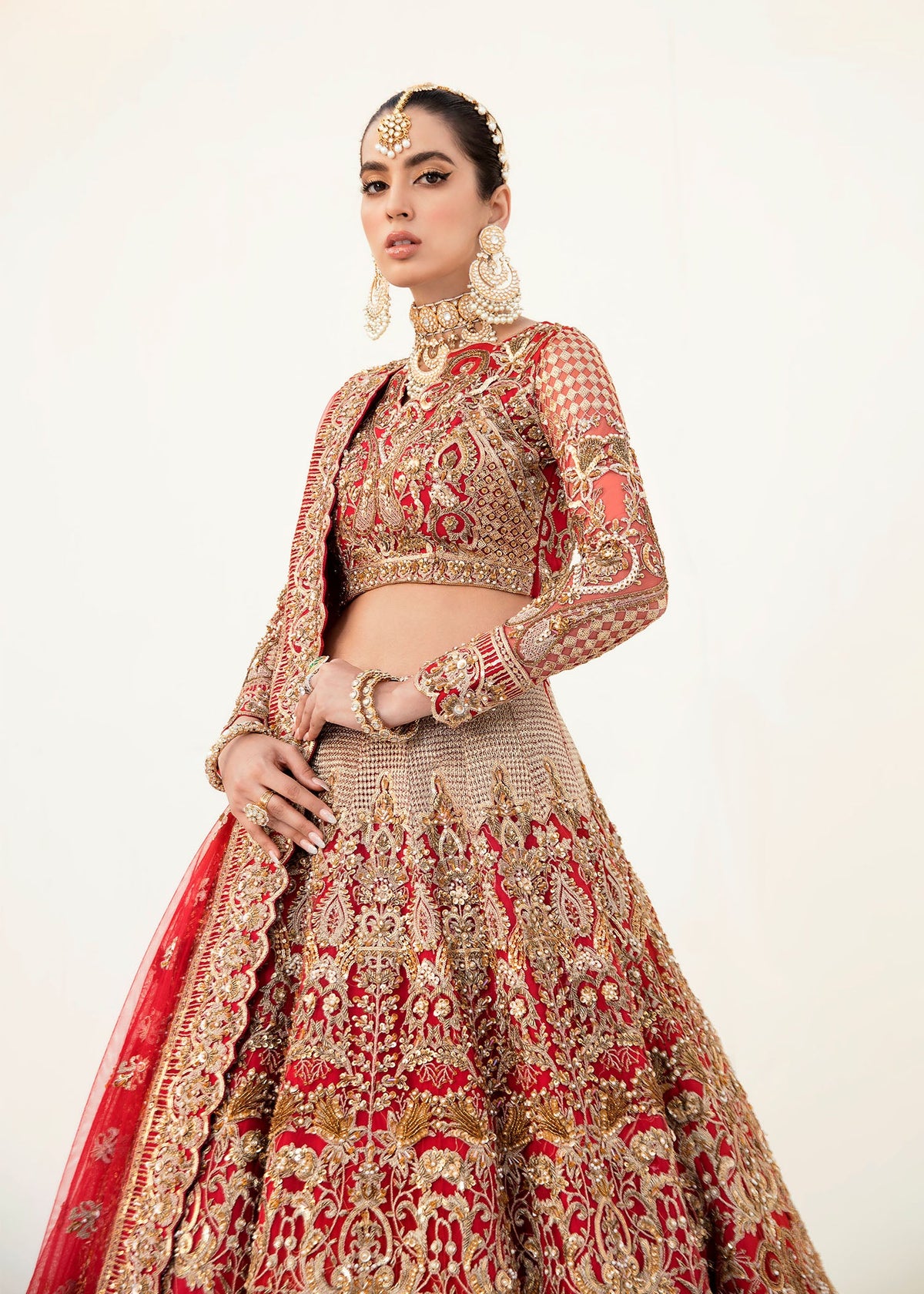 Akbar Aslam Salamander net bridal lehenga choli, photo 2